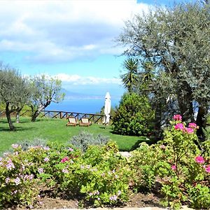 Sorrento View